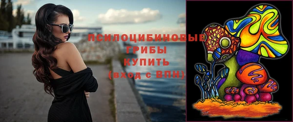 таблы Армянск