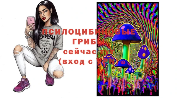 соль курить ск Арсеньев
